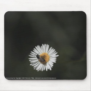 Cosmopolitan Bee Mouse Pad