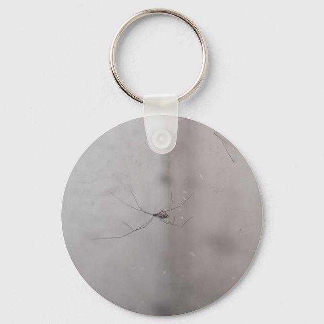 cosmopolitan cellar spider key ring (Front)