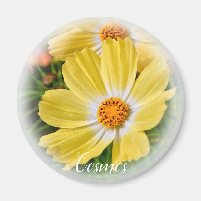 Cosmos マグネット magnet (Front)