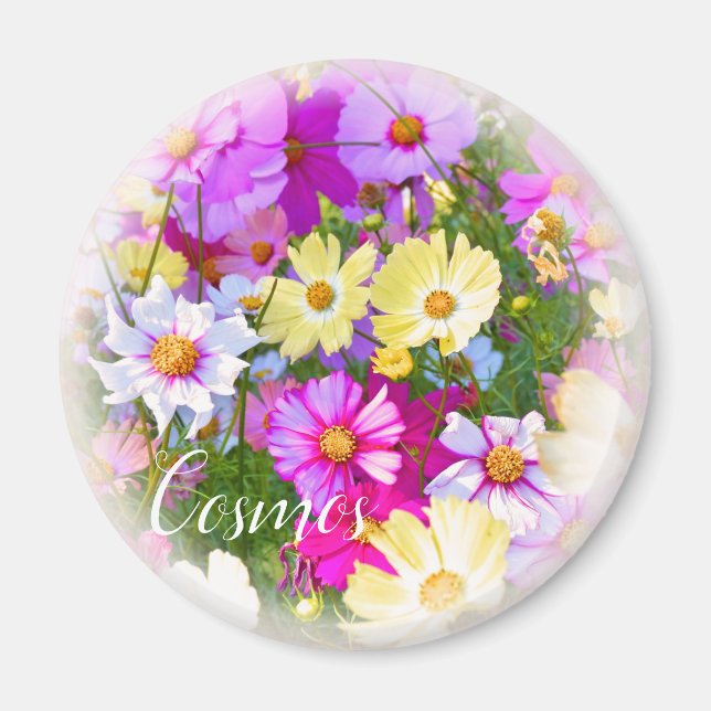 Cosmos マグネット magnet (Front)