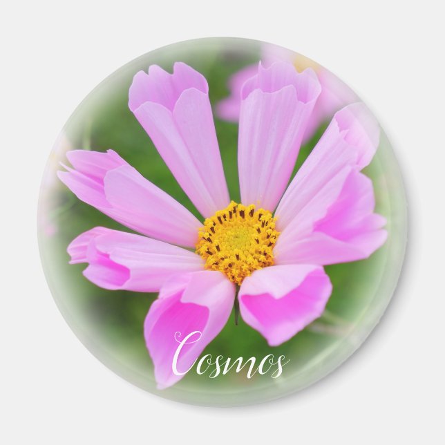 Cosmos マグネット magnet (Front)