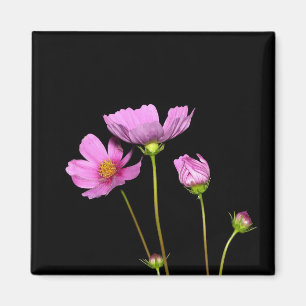 Cosmos at Night Magnet