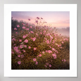 Cosmos at Quiet Dawn – Soft Morning Meadow  Poster