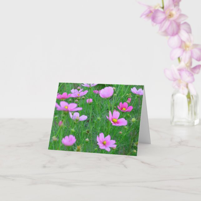 Cosmos bipinnatus Flowers Card (Orchid)