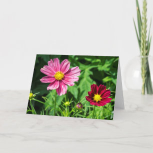 Cosmos Blank Note Card