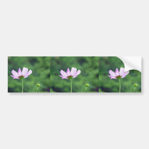 Cosmos Bumper Sticker