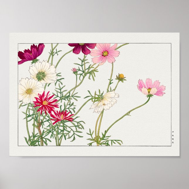 Cosmos by Tanigami Konan Poster (Front)