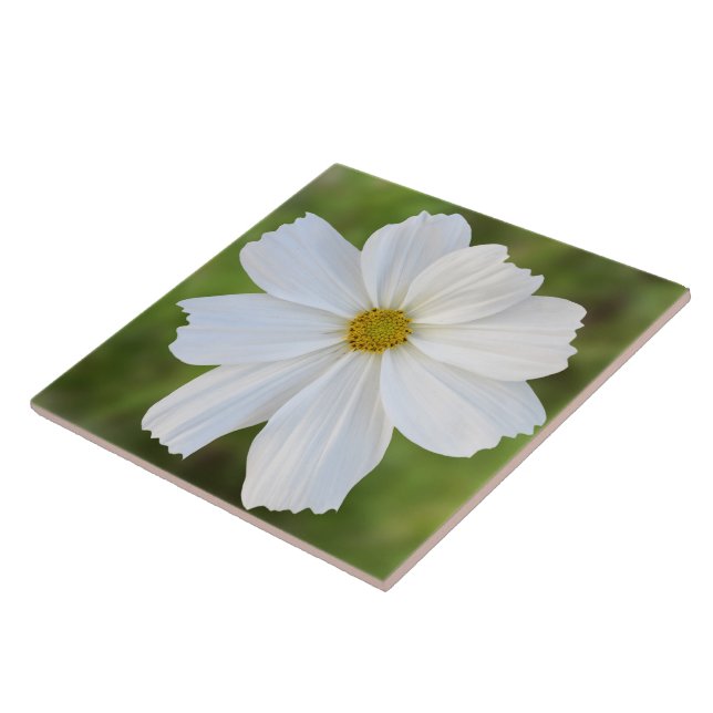 Cosmos Ceramic Tile (Side)