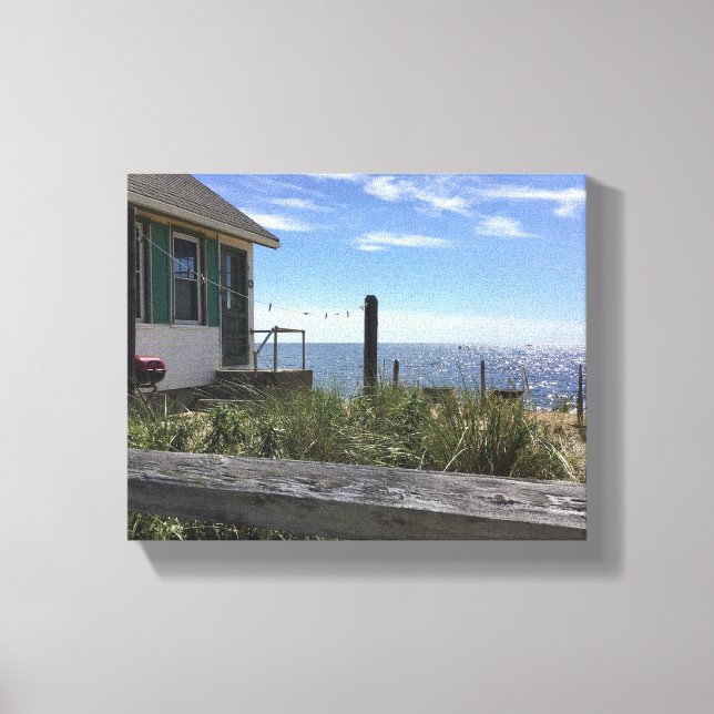 Cosmos Cottage Stretched Canvas Print (Front)