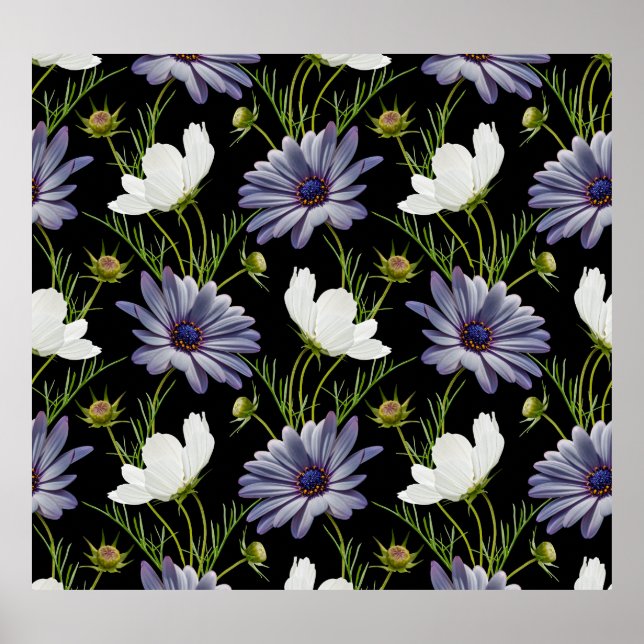 Cosmos Daisy Floral Seamless Collage Poster (Front)