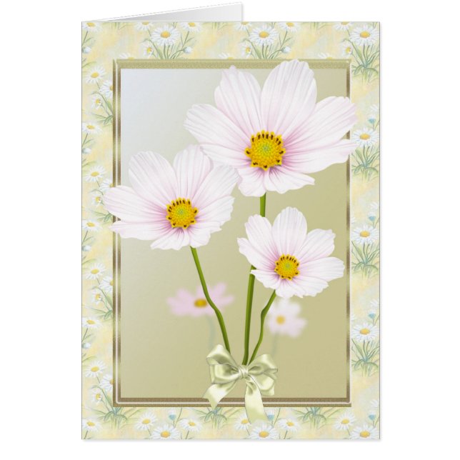 Cosmos (daisy) flowers Card (Front)