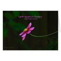 Cosmos:Earth Laughs in Flowers