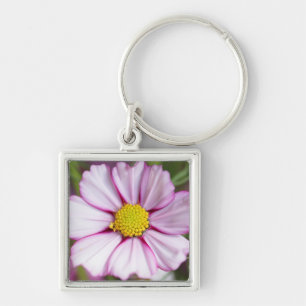Cosmos Flower (bidens formosa) Key Ring