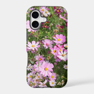Cosmos Flower (Bidens Formosa). Kirkwood