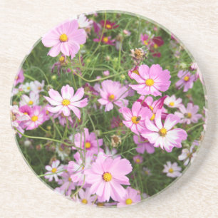 Cosmos Flower (Bidens Formosa). Kirkwood Coaster