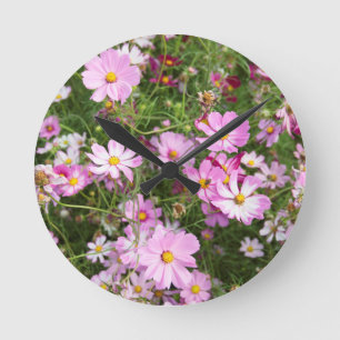 Cosmos Flower (Bidens Formosa). Kirkwood Round Clock
