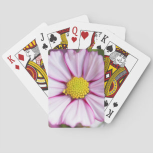 Cosmos Flower (bidens formosa) Playing Cards