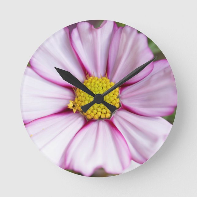 Cosmos Flower (bidens formosa) Round Clock (Front)