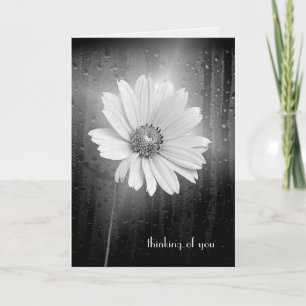 Cosmos Flower Thinking Of You Card
