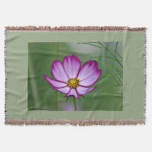 Cosmos flower throw blanket