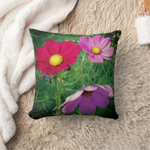 Cosmos Flower Trio  Cushion