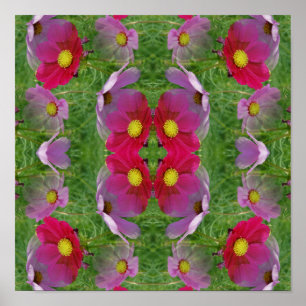 Cosmos Flowers Abstract Nature Poster
