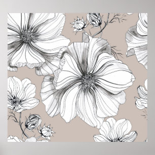Cosmos Flowers: Botanical Drawing Pattern. Poster
