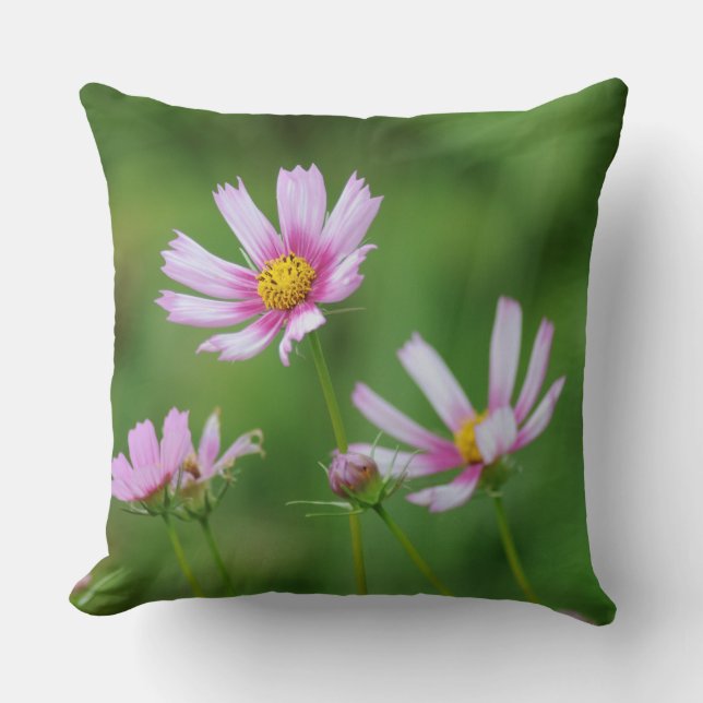 Cosmos Flowers Cushion (Front)
