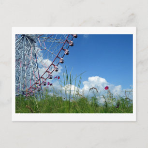 Cosmos Flowers & Ferris Wheel: Japan Postcard