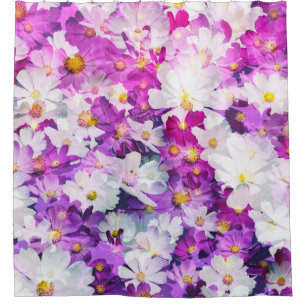 Cosmos flowers: floral pink purple background shower curtain