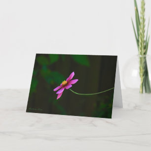 Cosmos Flowers-Gratitude: with Quote Card