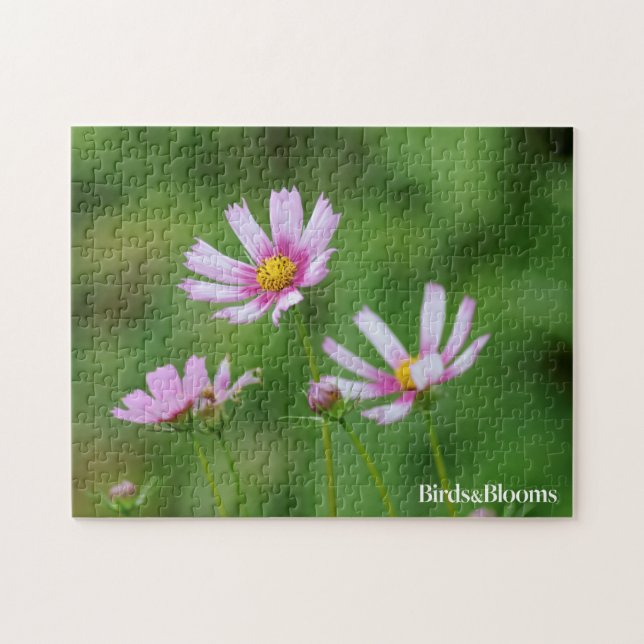 Cosmos Flowers Jigsaw Puzzle (Horizontal)