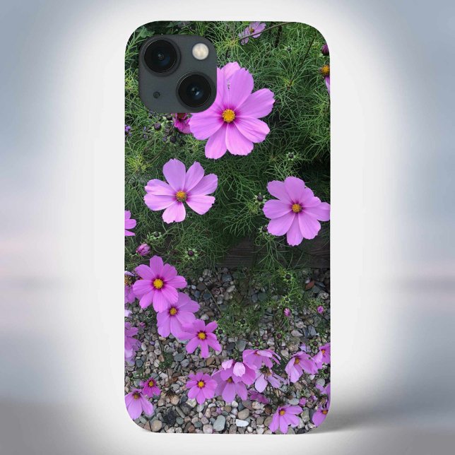Cosmos flowers with pebbles On a Case-Mate iPhone Case (Creator Uploaded)