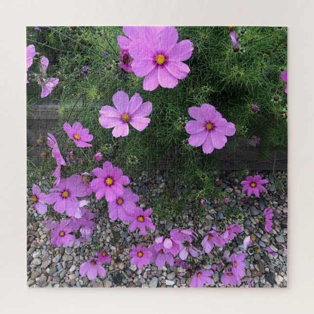 Cosmos flowers with pebbles On a Jigsaw Puzzle (Vertical)