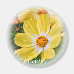 Cosmos MAGNET