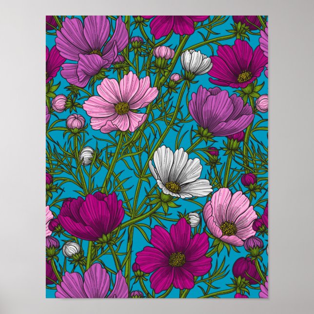 Cosmos mix on blue poster (Front)