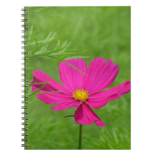 Cosmos Notebook