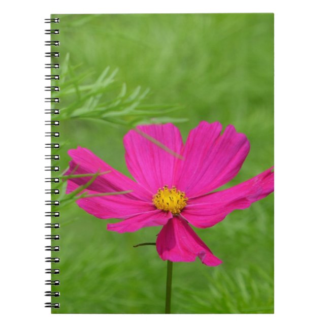 Cosmos Notebook (Front)