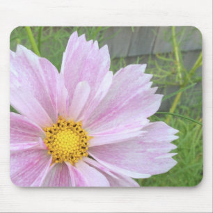Cosmos - Pale Pink & Green --- Mouse Pad