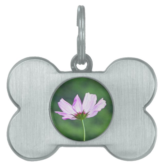 Cosmos Pet ID Tag (Front)