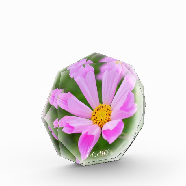 Cosmos Photo Block (Left)