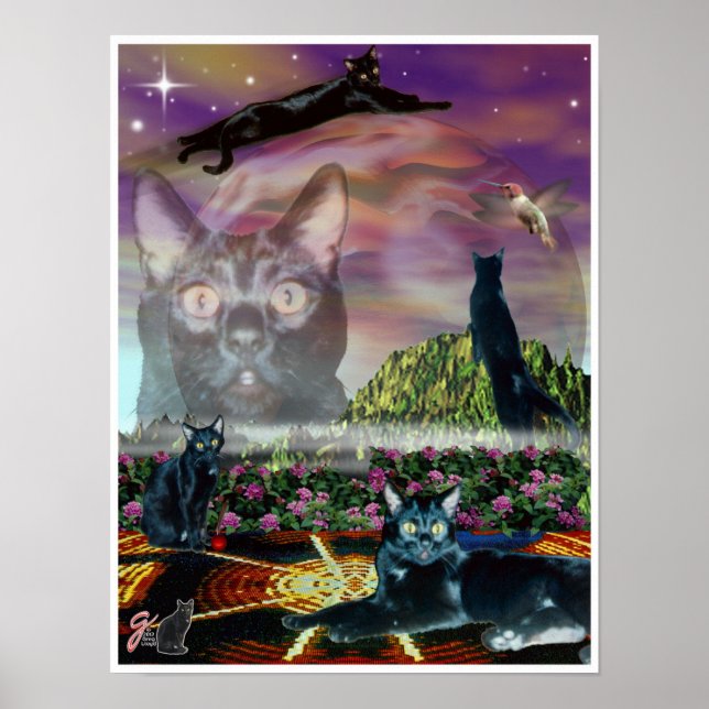 Cosmos Poster (Front)