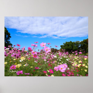 Cosmos [Poster] Poster