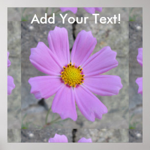 Cosmos Purple Flower Poster