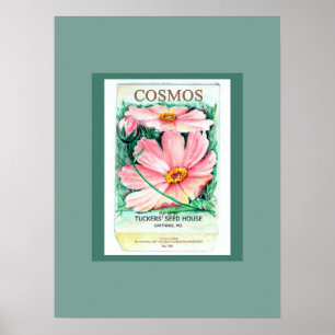 Cosmos Seed Packet Poster