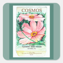 Cosmos Seed Packet