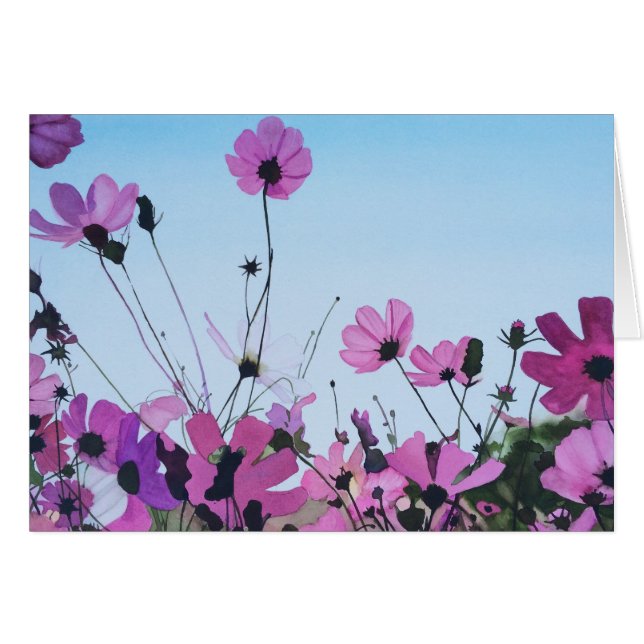 Cosmos Splendour (Front Horizontal)