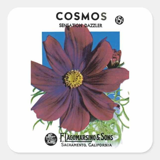 Cosmos Square Sticker (Front)