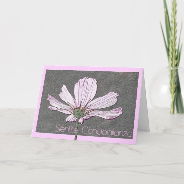 cosmos sympathy card italian (Front)