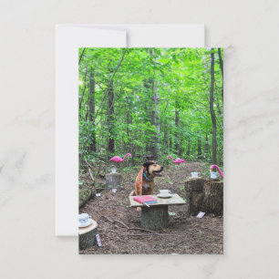 Cosplay Mad Hatter book Funny Dog Photo Card